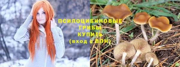 гашик Беломорск