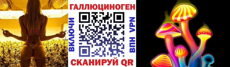 Псилоцибиновые грибы GOLDEN TEACHER  Купить закладки  Реж 