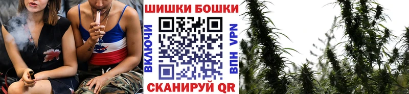 Купить закладки  Реж  Бошки Шишки ГИДРОПОН 